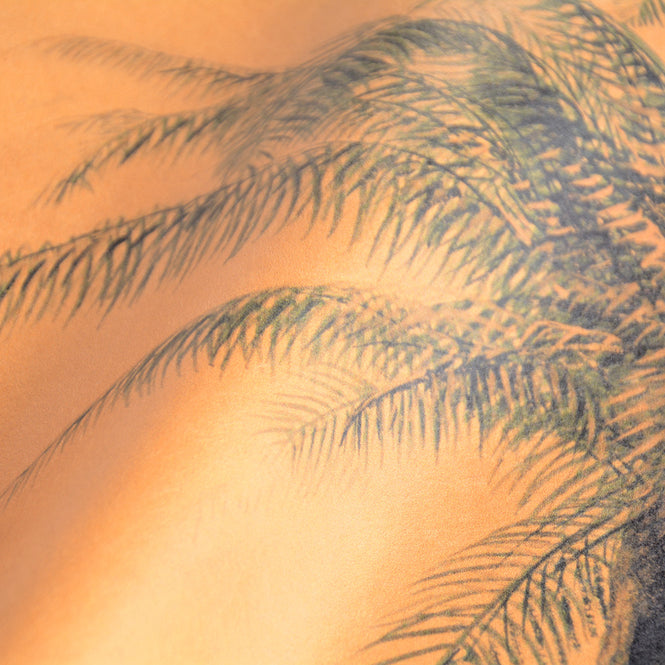 MINDTHEGAP / The Wallpaper Compendium / CAYO LARGO Sunset WP20488