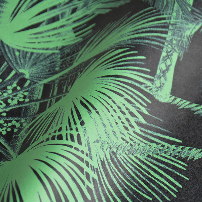 MINDTHEGAP / The Wallpaper Compendium / PALMERA CUBANA Dark WP20496
