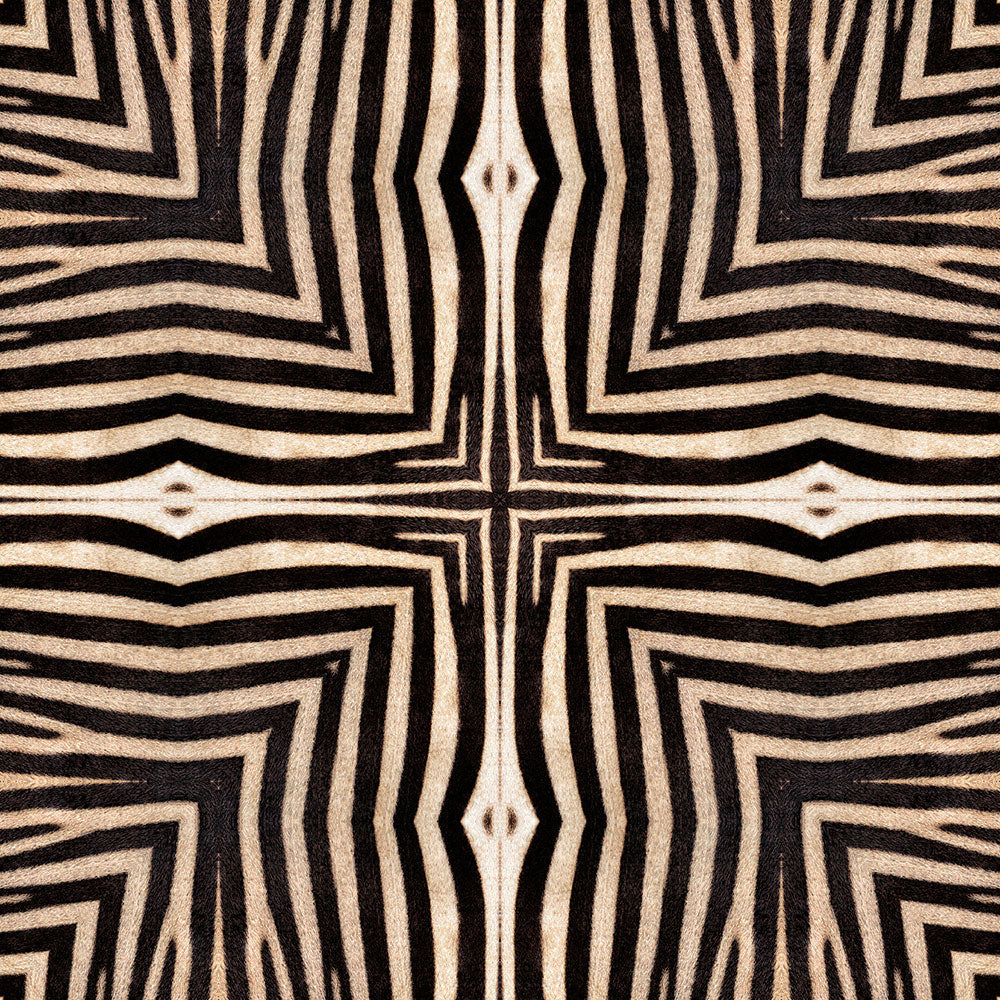dreamページ！ MINDTHEGAP / The Wallpaper Compendium / SERENGETI WP20505