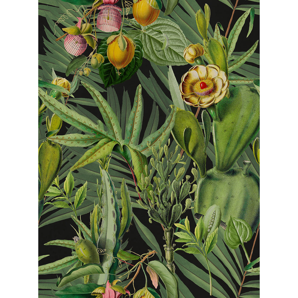 MINDTHEGAP / The Wallpaper Compendium / LUSCIOUS FLORA WP20518