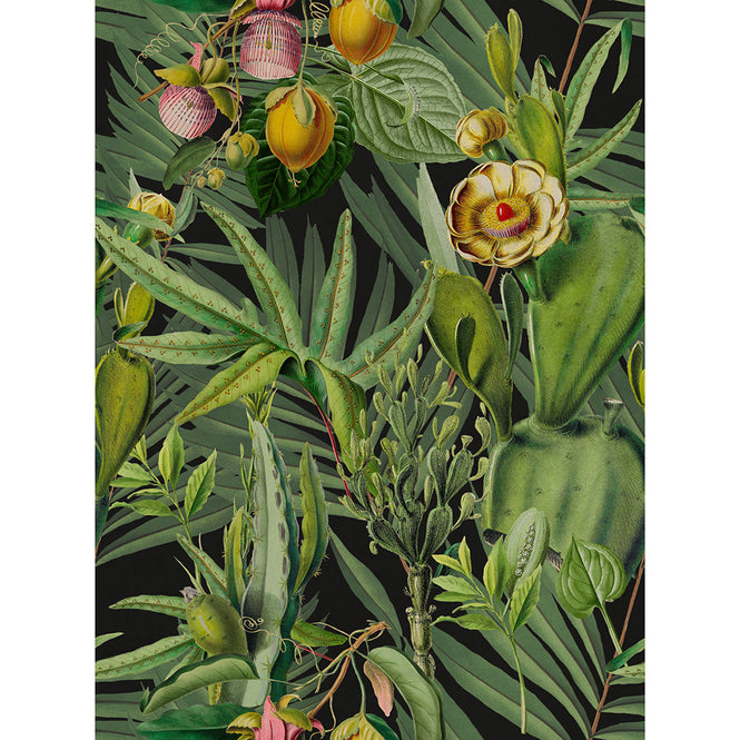 MINDTHEGAP / The Wallpaper Compendium / LUSCIOUS FLORA WP20518