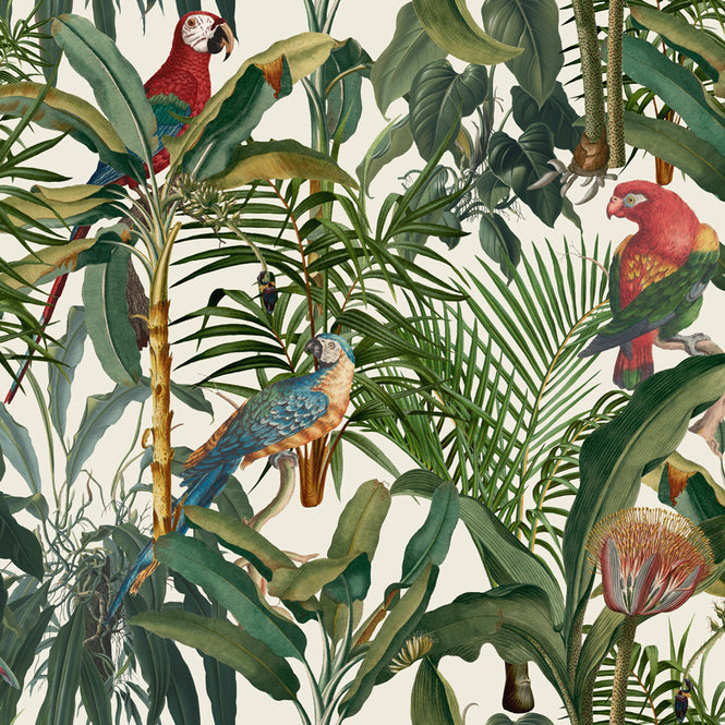MINDTHEGAP / The Wallpaper Compendium / PARROTS OF BRASIL  WP20521