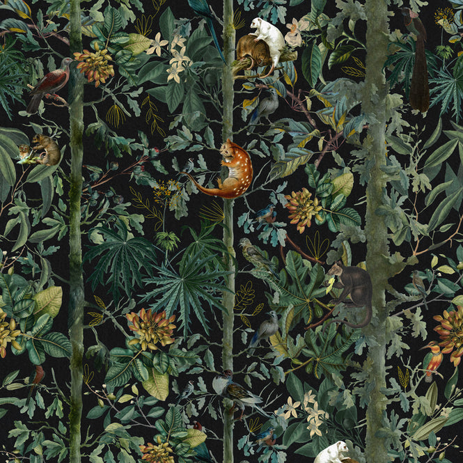 MINDTHEGAP / The Wallpaper Compendium / WILDLIFE OF PAPUA Dark WP20527