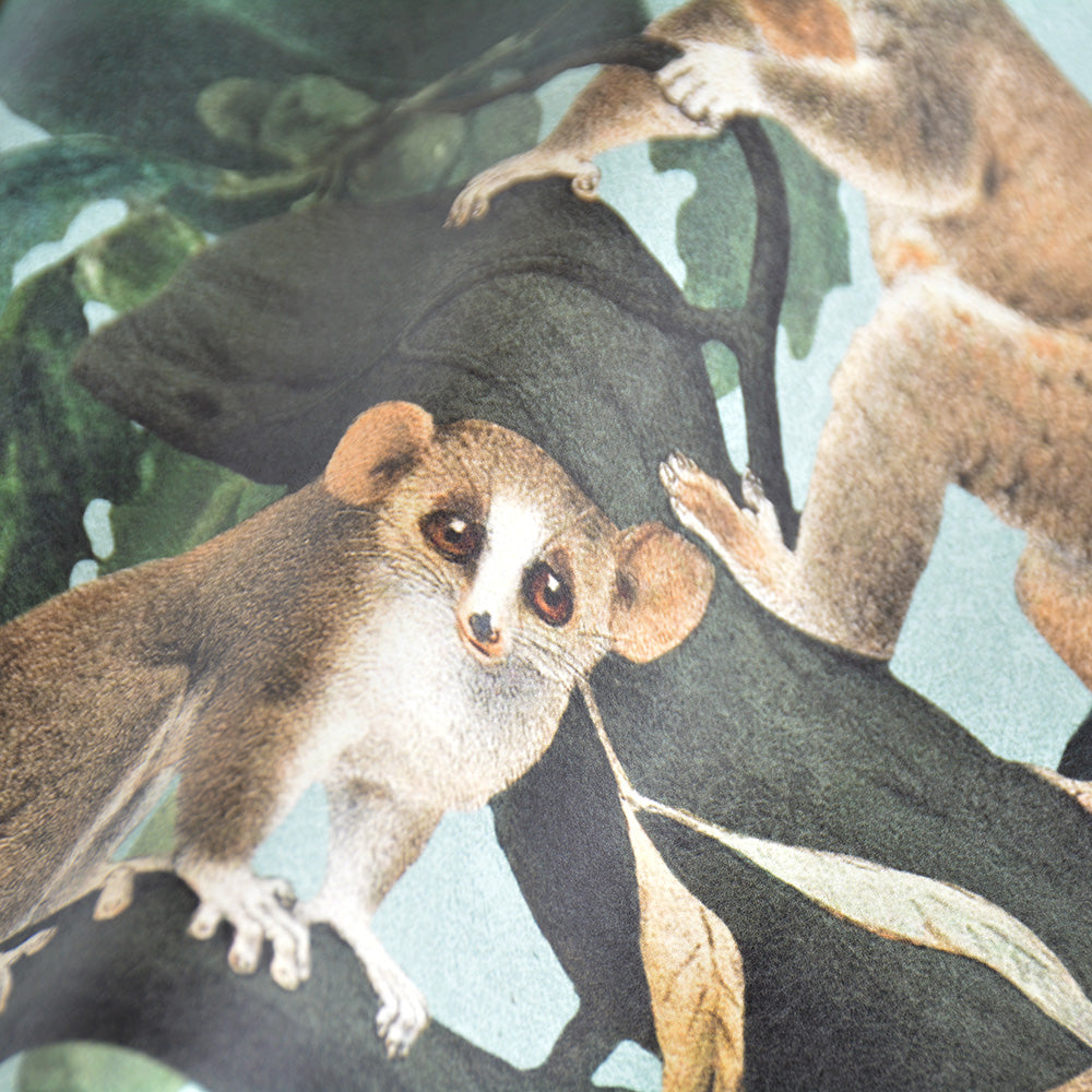 MINDTHEGAP / The Wallpaper Compendium / WILDLIFE OF PAPUA