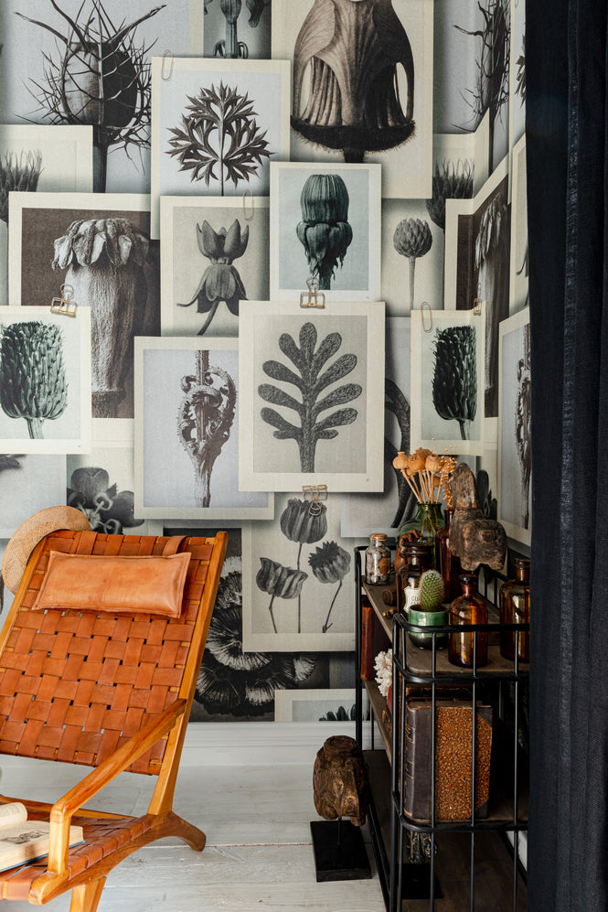 MINDTHEGAP / The Artist's House / BLOSSFELDT'S ART FORMS WP20595