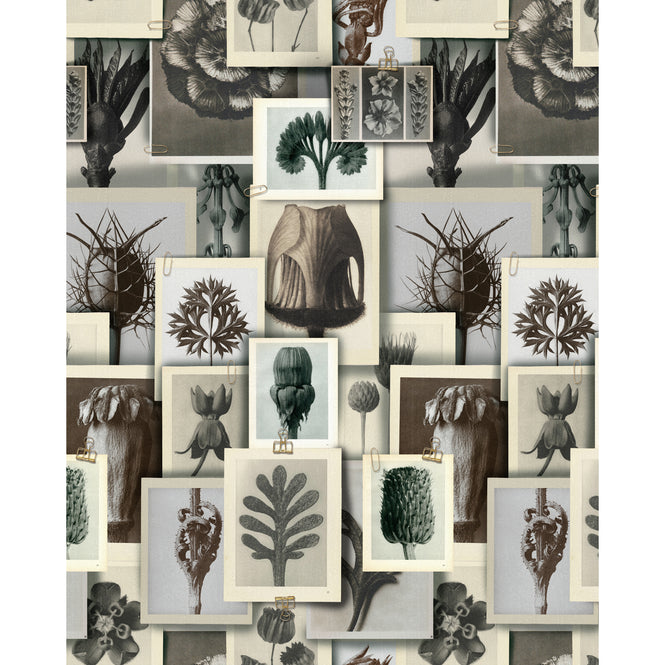 MINDTHEGAP / The Artist's House / BLOSSFELDT'S ART FORMS WP20595
