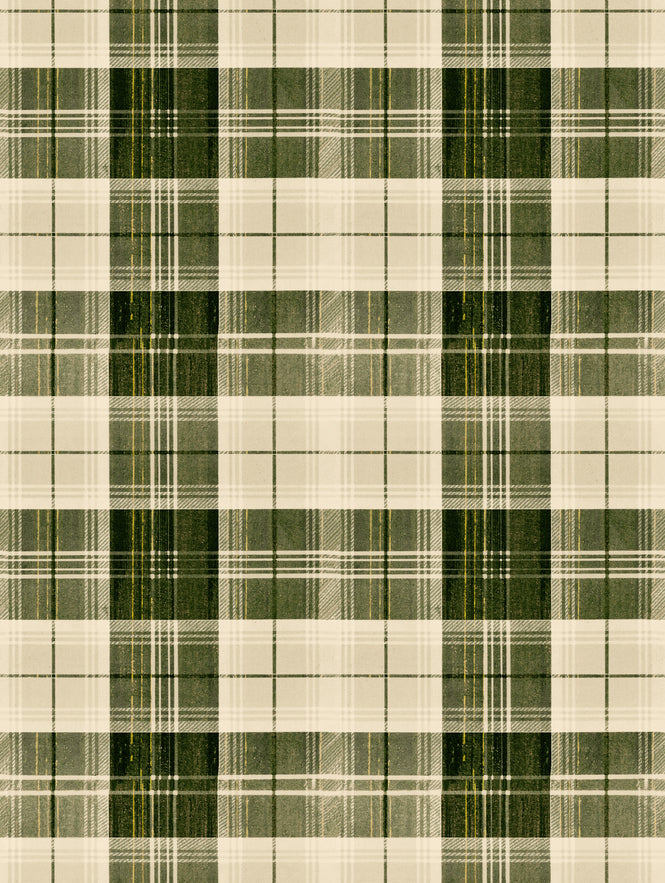 MINDTHEGAP / TRANSYLVANIAN ROOTS / COUNTRYSIDE PLAID Beechnut WP30010