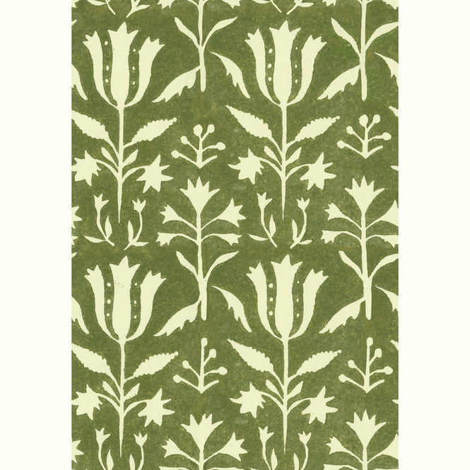 MINDTHEGAP / TRANSYLVANIAN ROOTS / TULIPAN Herbal WP30033