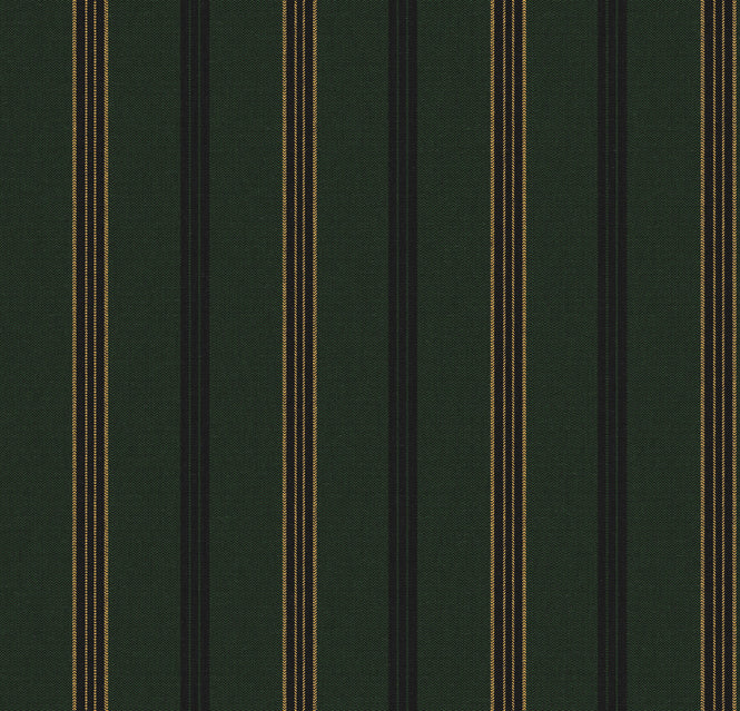 MINDTHEGAP / WOODSTOCK / OREGON Evergreen WP30095