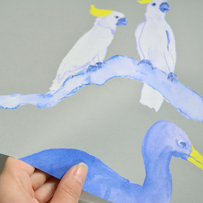 KARIOKAS / PANTANAL Blue and yellow Toucan on Grey WallP-PANT-BYG-01